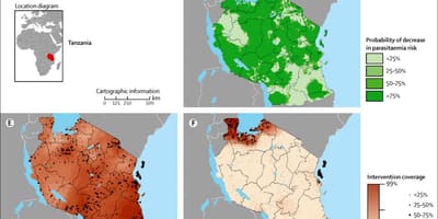 Mapa de tanzània, la malària 